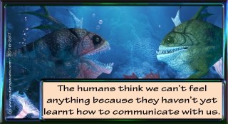 Cartoons 252–301 – cartoon 267