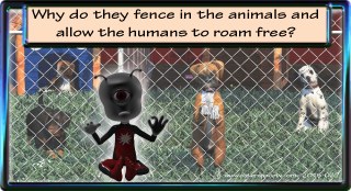 Cartoons 1–50 – cartoon 37
