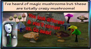 Cartoons 1–50 – cartoon 48